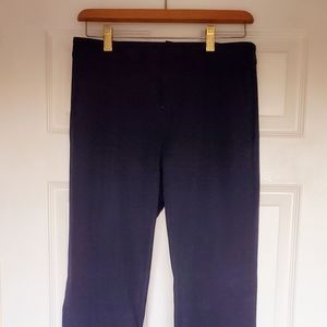 Banana Republic Navy Flare Dress Pants